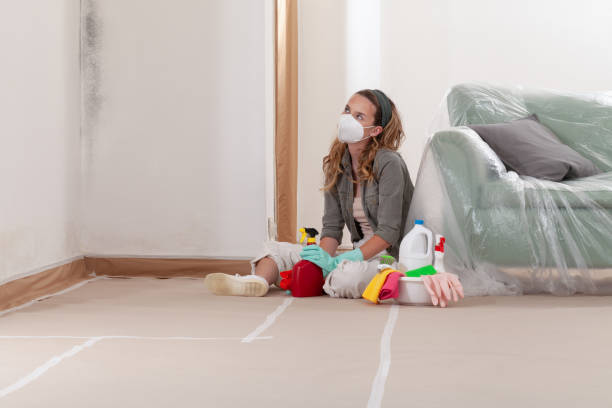Reliable Mold Cleanup contractor in Niles, IL by WQB Mold Removal